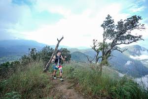 BIB: 
                            <button type="button" onclick="openModal(22371971)" class="btn btn-primary btn-sm float-right btn-popup" data-toggle="modal" data-target=".modal-high-quality">
                        <i class="fas fa-shopping-cart"></i> Add to Cart
                    </button>
                                            <button type="button" onclick="isThisMe(22371971, true)" class="btn btn-success btn-sm float-right btn-popup btn-isme hidden" data-toggle="tooltip" data-placement="bottom" title="นี่คือรูปของคุณใช่ไหม คลิกที่นี่เพื่อเอาเข้าอัลบั้ม">
                        <i class="fas fa-plus"></i> Add to album
                    </button>
                    <button type="button" onclick="isThisMe(22371971, false)" class="btn btn-warning btn-sm float-right btn-popup btn-isnotme hidden">
                        <i class="fas fa-ban"></i> Remove from album
                    </button>